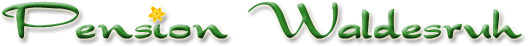 Pension Waldesruh Logo Ampflwang
