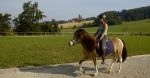 Reiten in Ampflwang